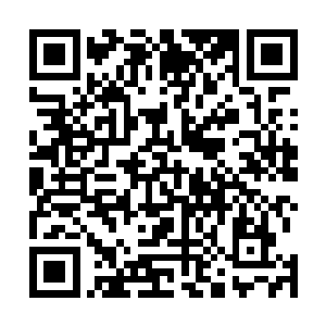 在里面差不多塞满了雷林通过各种手段收集到的珍惜材料二维码生成