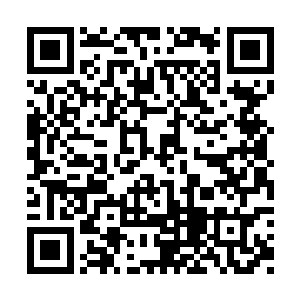 在金丝网原来的主人面前很淡定的装到自己身上二维码生成