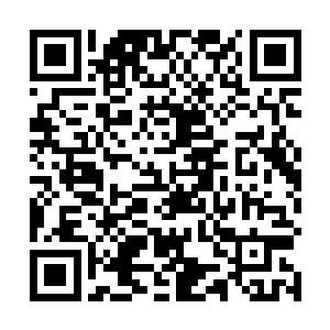 在金丹初期就能够压着拦江剑派几个金丹真人打的方凌二维码生成