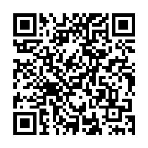 在闻人照絮絮叨叨一直追问到底是谁要娶他姐姐的摧残下二维码生成
