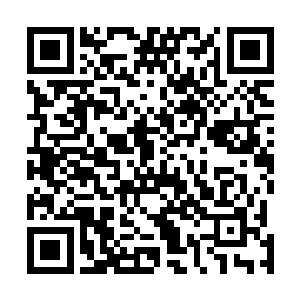 在阿麦斯和布莱克森人族走廊的北方地区也不算无名之辈二维码生成