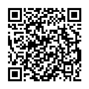 在附着火焰的作用下已又是大片的焦枯密布全身二维码生成