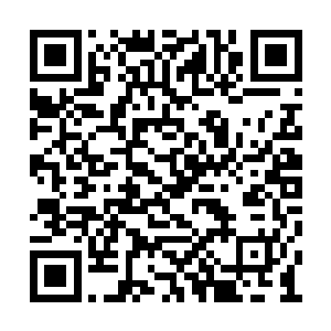 在陈春煊的帮忙下终于造出了长十余丈的大海船二维码生成