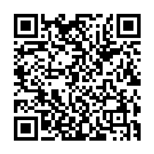 在雪地中挣扎着吐出几口血的苗毅双手虎口崩裂出大大的口子二维码生成