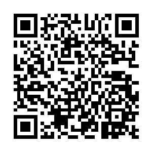 在雪如楼磨着牙又重新把流墨墨的心绪安抚平定些的时候二维码生成