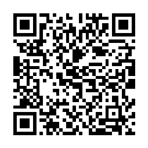 在雷林来了这么多天之后才找上门来已经有点让雷林惊讶了二维码生成