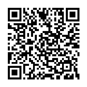 在青锋剑派和青水剑派的诸多弟子脸上一扫而过二维码生成