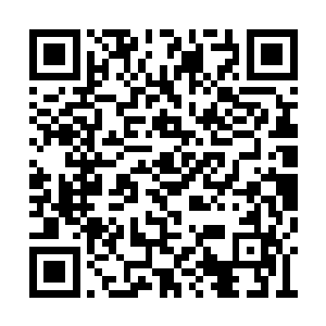 在青锋剑派的长老和掌院以及掌教罗天雄的身上二维码生成