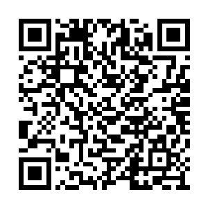 在靠近中路的小龙河道附近展开了一场殊死搏斗二维码生成