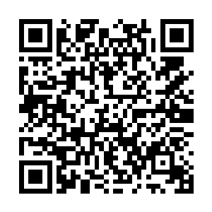 在靠近凤鸣山一千米外的一片灌木丛林里弃车步行二维码生成