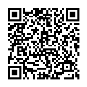 在靠近山脚下的一座独立的小石屋门口停了下来二维码生成