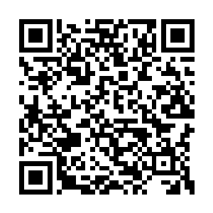 在面对众多恐爪龙的时候也会感觉到不小的压力二维码生成