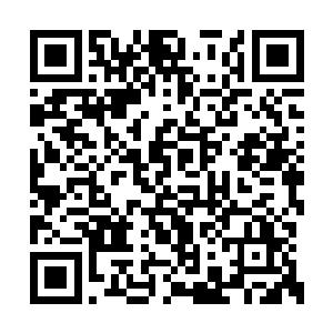 在面对这恐怖的能量冲击波时也不敢有半分小觑二维码生成