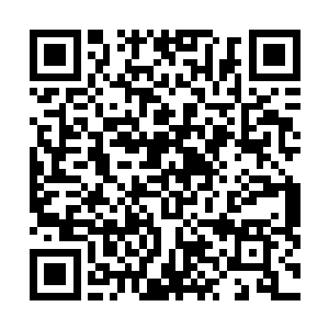 在面对这种情况下依然无可避免的要承受各种损失与伤亡二维码生成