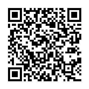 在面对那些动不动就九级和九级顶峰的战士和祭司时二维码生成