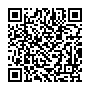 在面对黄埔无恨这个可以说得上是地头蛇的大官二维码生成