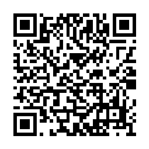 在鞘春雷再度如峡谷中构造出一面庞大圆镜气墙二维码生成