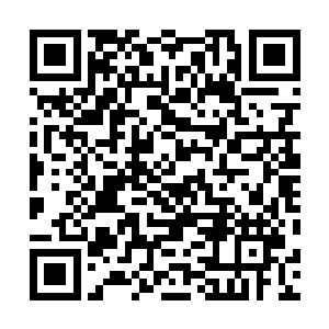 在韩国上初中的绿绿靠在网上上传她的音乐视频一炮走红二维码生成