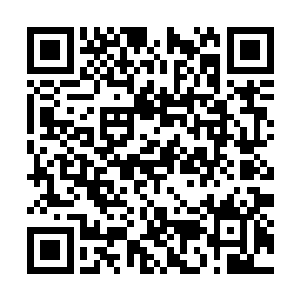 在风中轻舞飞扬一抹冷蓝色在艾莉丝的眸子里闪过二维码生成