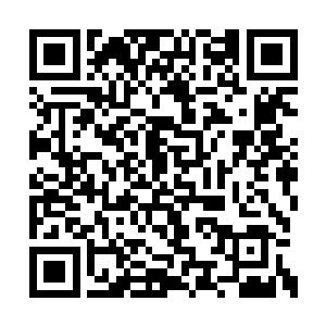 在飓风战队角落里一直坐着一个带着帽子的队员二维码生成