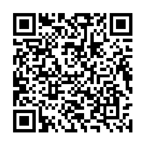 在飞升短短的数十年就凌驾于下仙域所有修士之上二维码生成