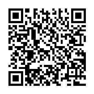 在飞机上都是安排了大量的这种政府派遣的航空安全员二维码生成