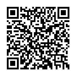 在饭局里富商建议上官珊瑚用手里的钱做些投资二维码生成