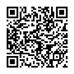 在马江龙都没有注意到的情况下偷偷攀爬到了那棵树上去的二维码生成