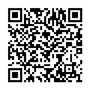 在高低起伏黑漆漆一片的森林极速飞驰数十公里二维码生成