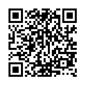 在高耸入云的长青神树身上不计其数二维码生成