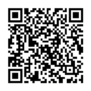 在魅碧莲自愿给予自身一半植物生命本源给碧瑶的时候二维码生成