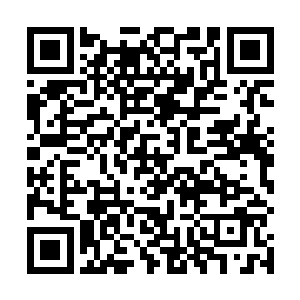 在魔主宫的云台之上坐着魔主和两个刚刚入圣的大修士二维码生成