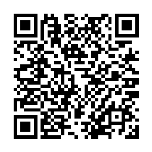 在黑化叶然掌心里的血色雷光变得前所未有的旺盛二维码生成
