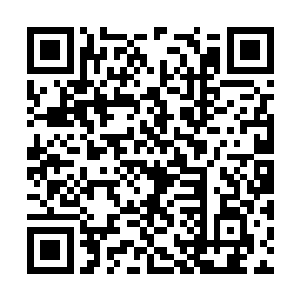 在黑暗精灵武士以及天界洞察使惊骇欲绝的目光下二维码生成