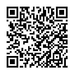 在黑暗议会上大获丰收的他一回到了拉斯维加斯二维码生成