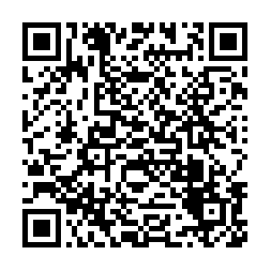 在黑甲战堡广场附近巡逻驻守的一队黑甲军的骑士一下子就飞了起来二维码生成