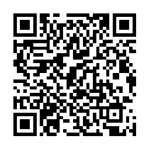 在黑铁之堡内开荒完毕的张铁又查看了一下那颗小树的情况二维码生成