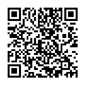 在龙傲天看来这周围可是有着绝空神尊布置的禁制二维码生成