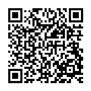 在龙傲天给自己的女儿治疗的整个过程中孙尘都不敢有一点走神二维码生成