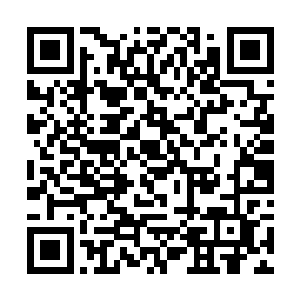 在龙傲天这个超级高手面前一切的小动作都是徒劳的二维码生成