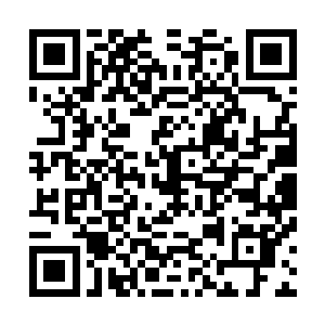 在龙凤榜上看到这关系到一个种族荣耀的战斗是极其少见的二维码生成