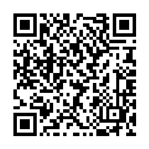 在龙天头上盘桓着的灰团子突然仰天发出一声轻啸二维码生成