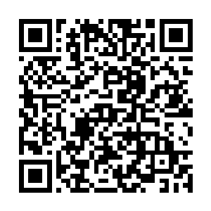 在龙家这么一个家族中龙天行绝对拥有绝对的权威二维码生成