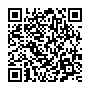 在龙族都已经算是超级变态级别的了……这也是秦方担心的地方二维码生成