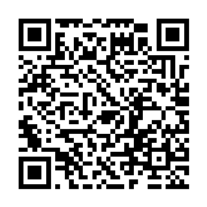 在ct中没什么秘密任何一个招式出来很快就会被模仿二维码生成