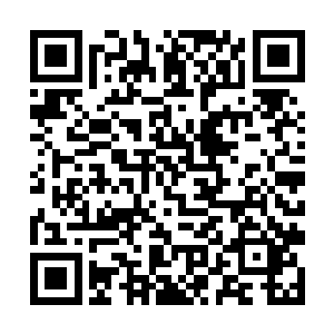 地上吃疼不敢起身的齐凯则是想一头撞死的心都有了二维码生成