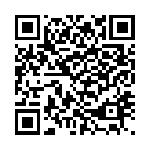 地上满是花花绿绿的肠子和殷红鲜血二维码生成