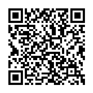 地上的山口组帮众看到飞机忽然下降的这么厉害二维码生成