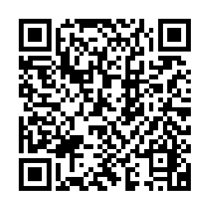 地上的蜗牛好不容易爬到鞋面一不小心又翻滚下去后来消失不见二维码生成