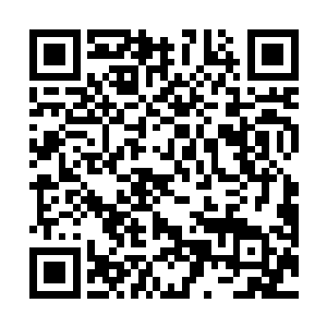 地上许海天如同一只发狂的怒狮在身后留下了一道土龙二维码生成